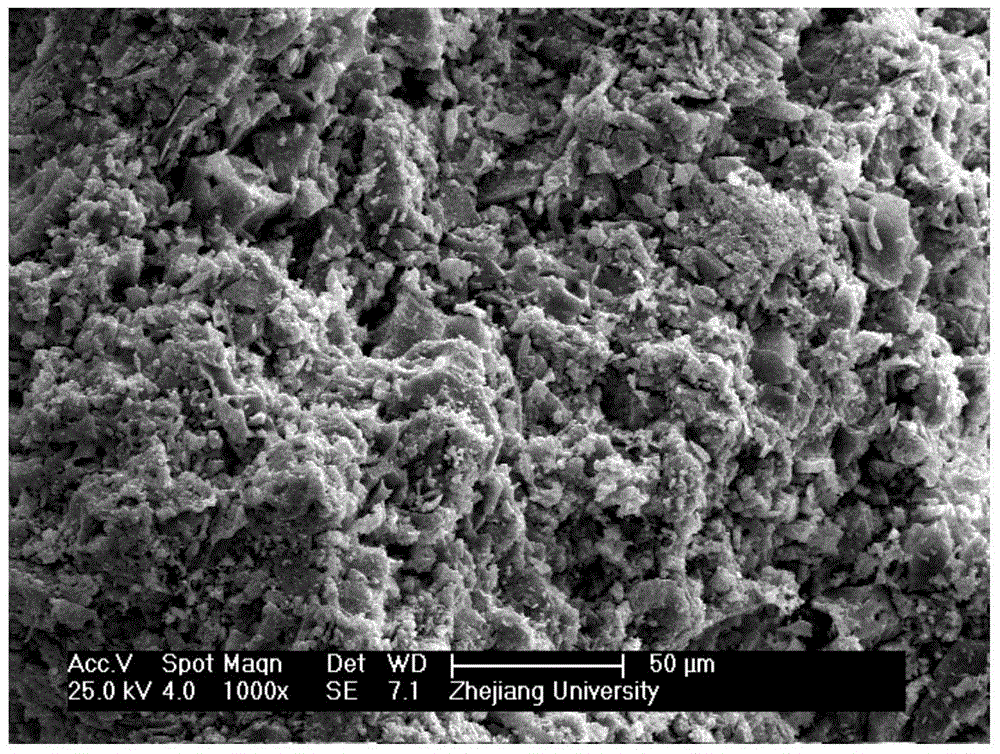 Biomass carbonization molding material and preparation method thereof