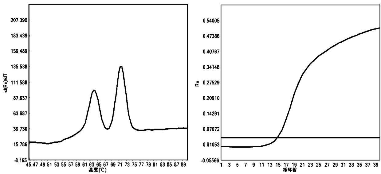 Citrin deficiency pathogenic gene detection primer and kit