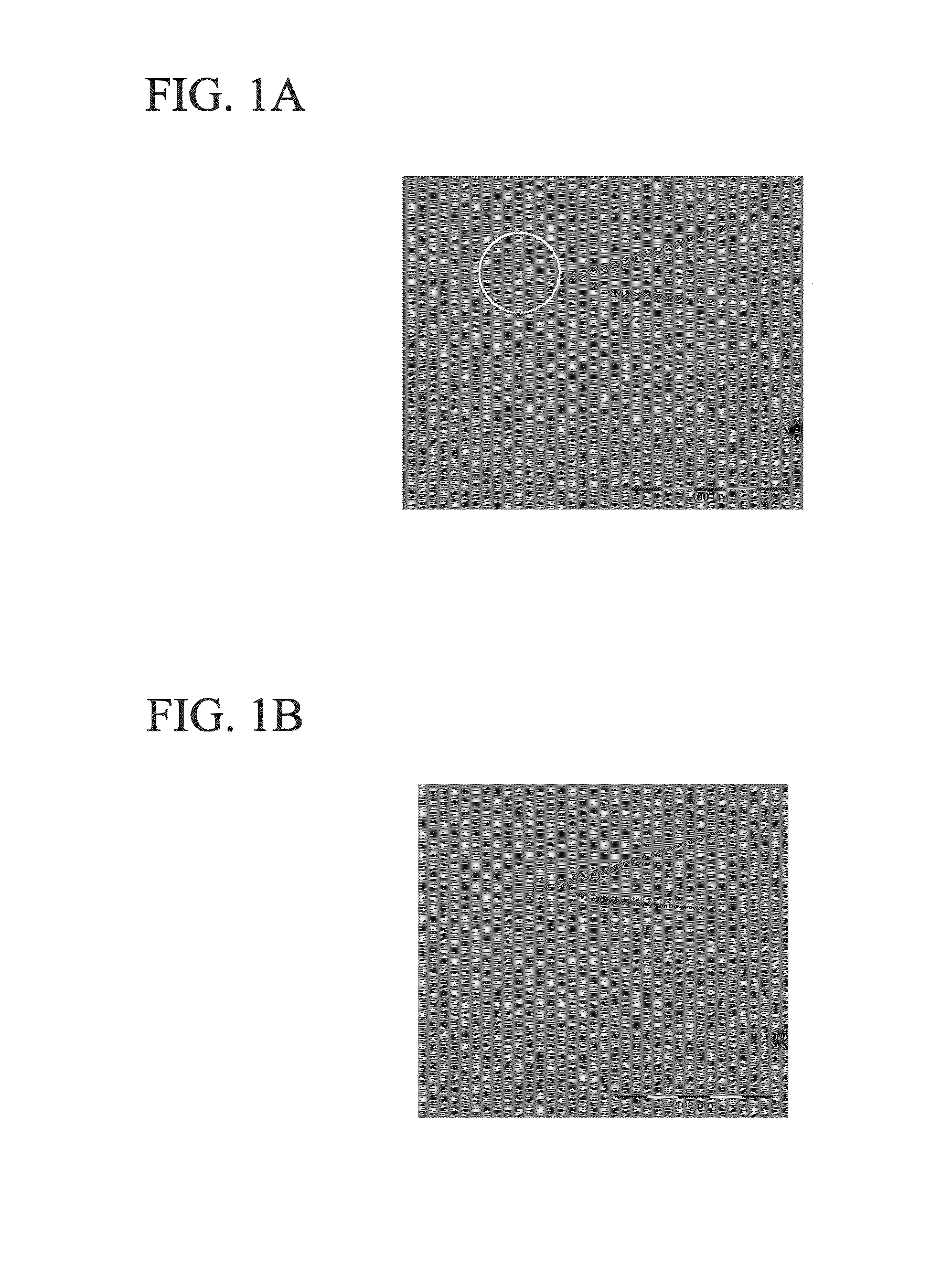 Sic epitaxial wafer and method for producing same, and device for producing sic epitaxial wafer