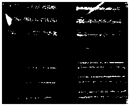 3D printing high-compactness titanium-titanium boride composite material and preparation method thereof