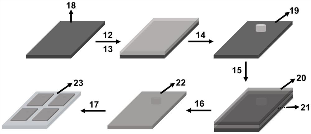 Single-cell protein quantitative analysis method based on electrophoresis technology