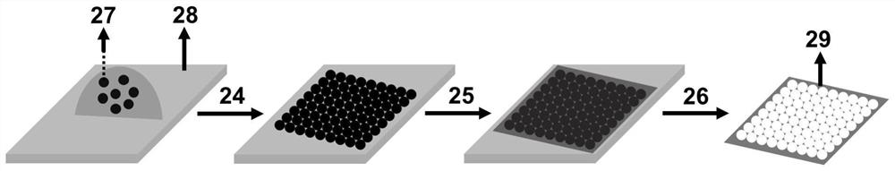 Single-cell protein quantitative analysis method based on electrophoresis technology