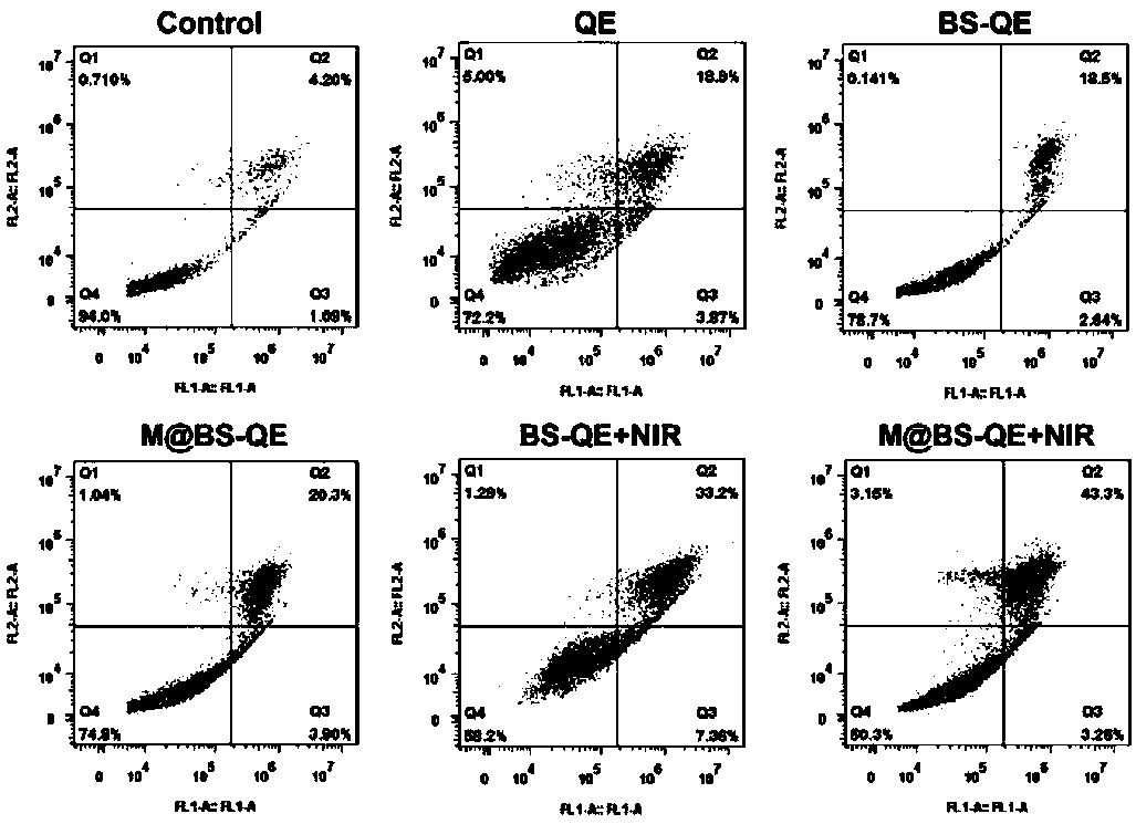 Preparation method and application of macrophage membrane bionic bismuth selenide nanoparticles