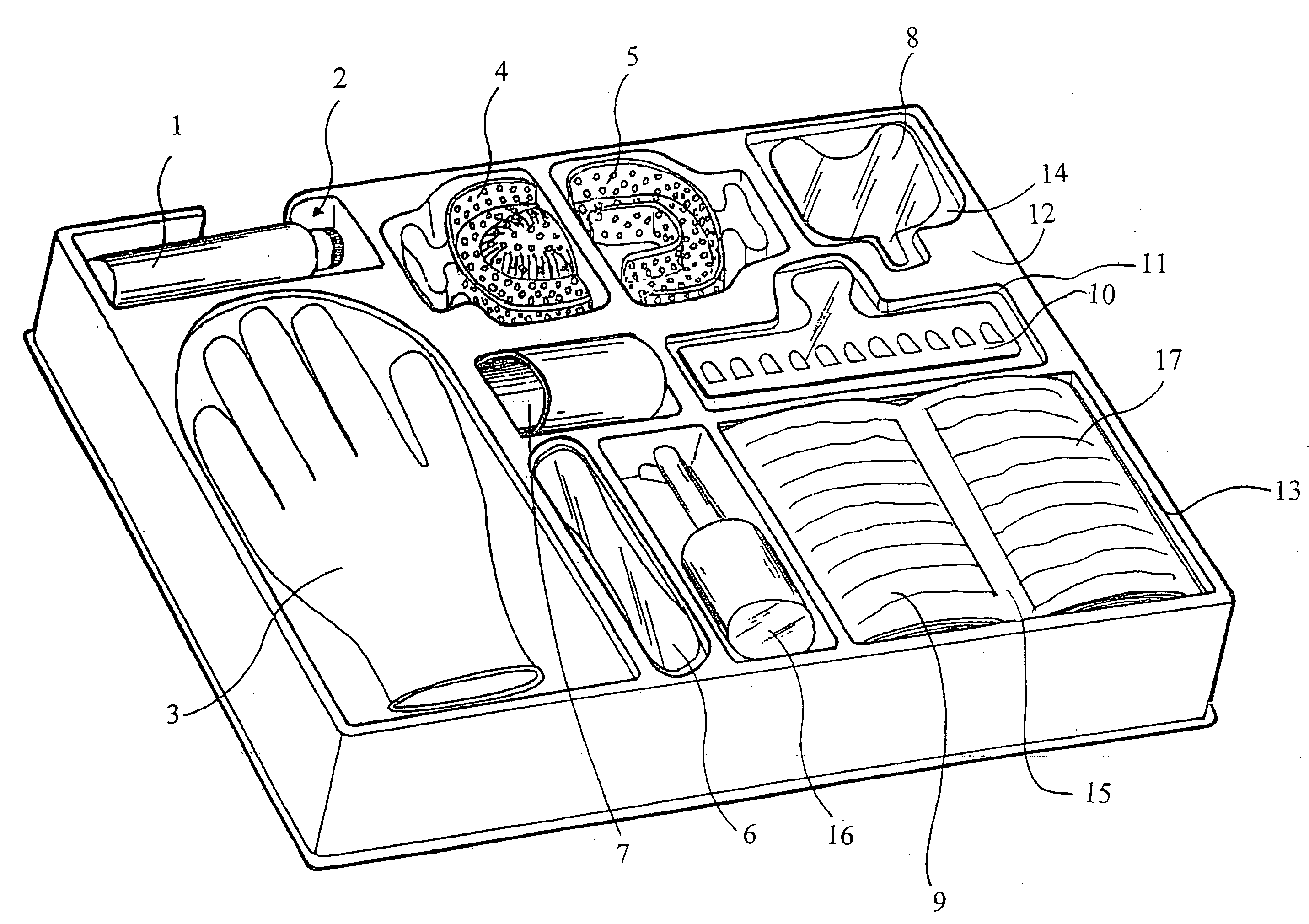 Kit for fabricating and maintaining dentures and dental apparatus and for personal professional tooth whitening by autonomous dental impression taking