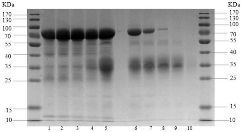 A method for industrialized extraction of ovotransferrin and its protein iron product