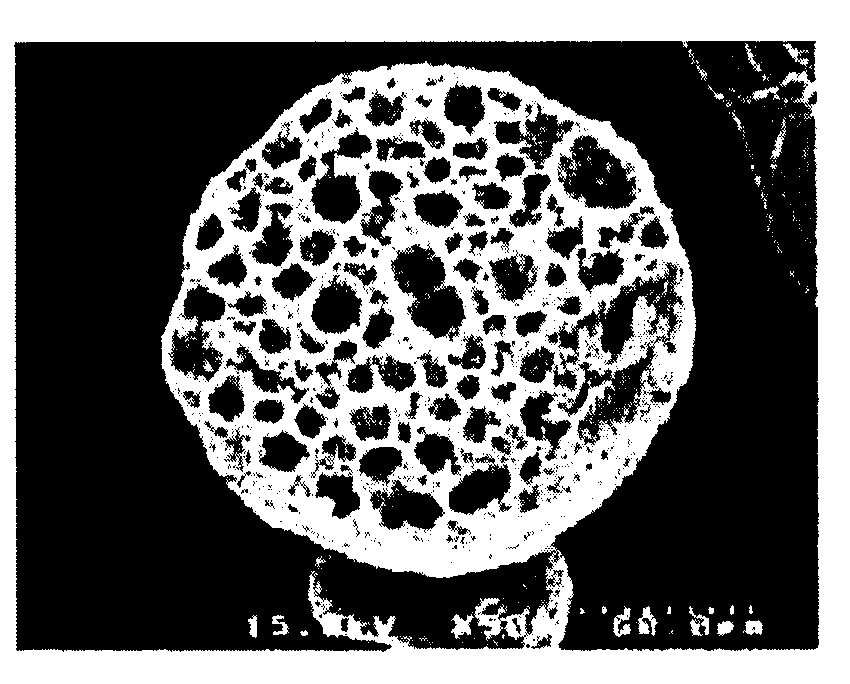 Method of preparing covered porous biodegradable polymer microspheres for sustained-release drug delivery and tissue regeneration