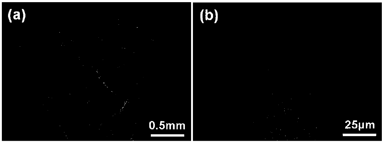 Quasi-continuous laser metal 3D printing method capable of realizing regulation of nickel base alloy crystallographic texture