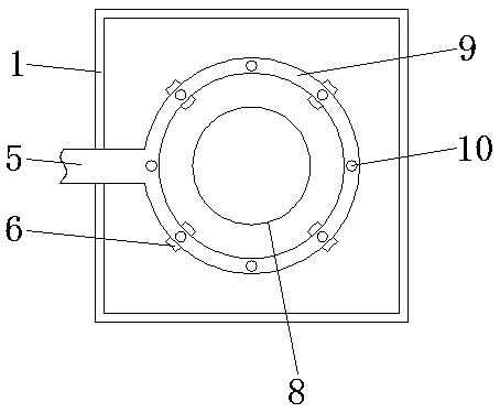 Mud removing and sieving device for agriculture products