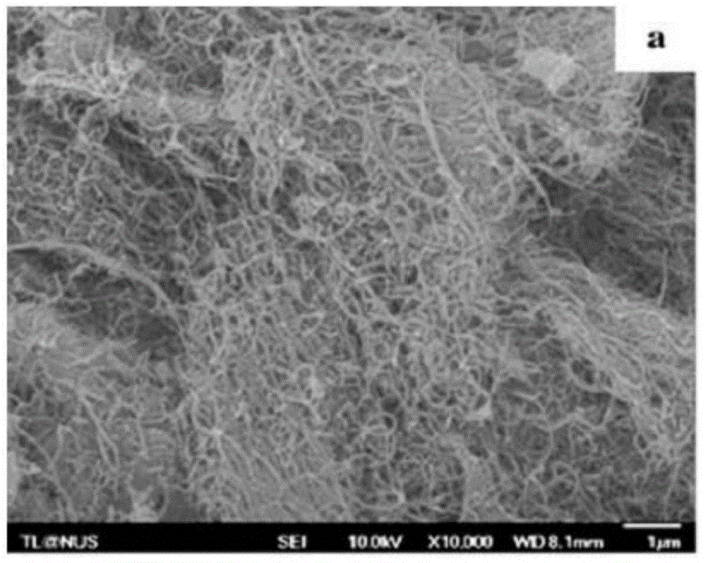 Composite absorbing material, preparation method and application thereof