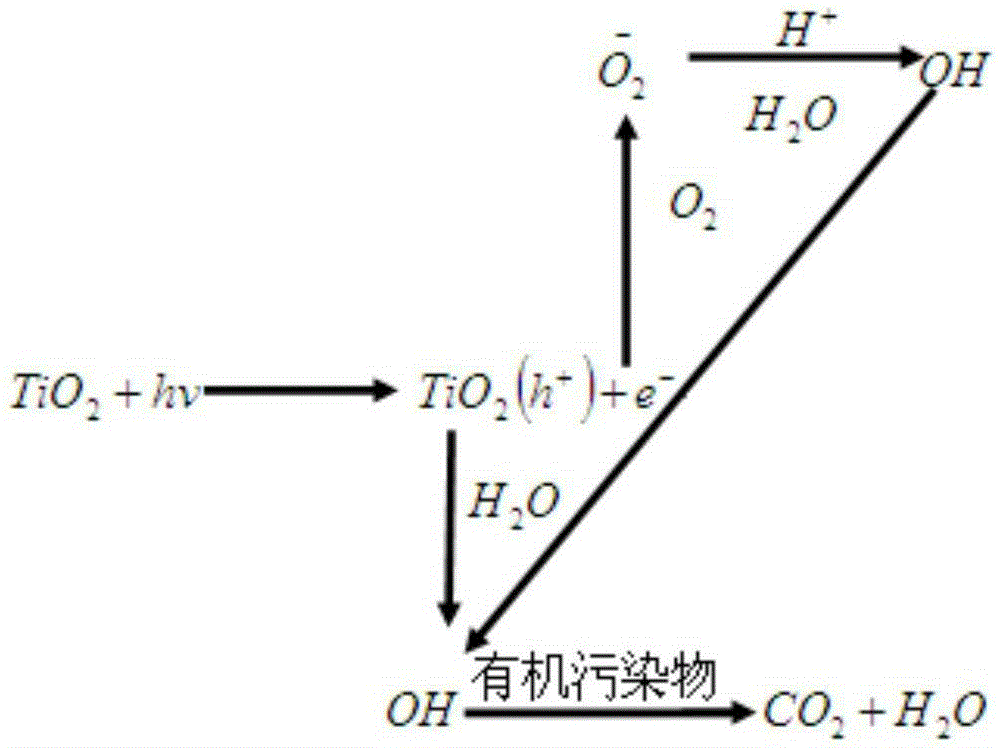 A formaldehyde decomposition solution of pollen carbon nanometer and preparation method thereof