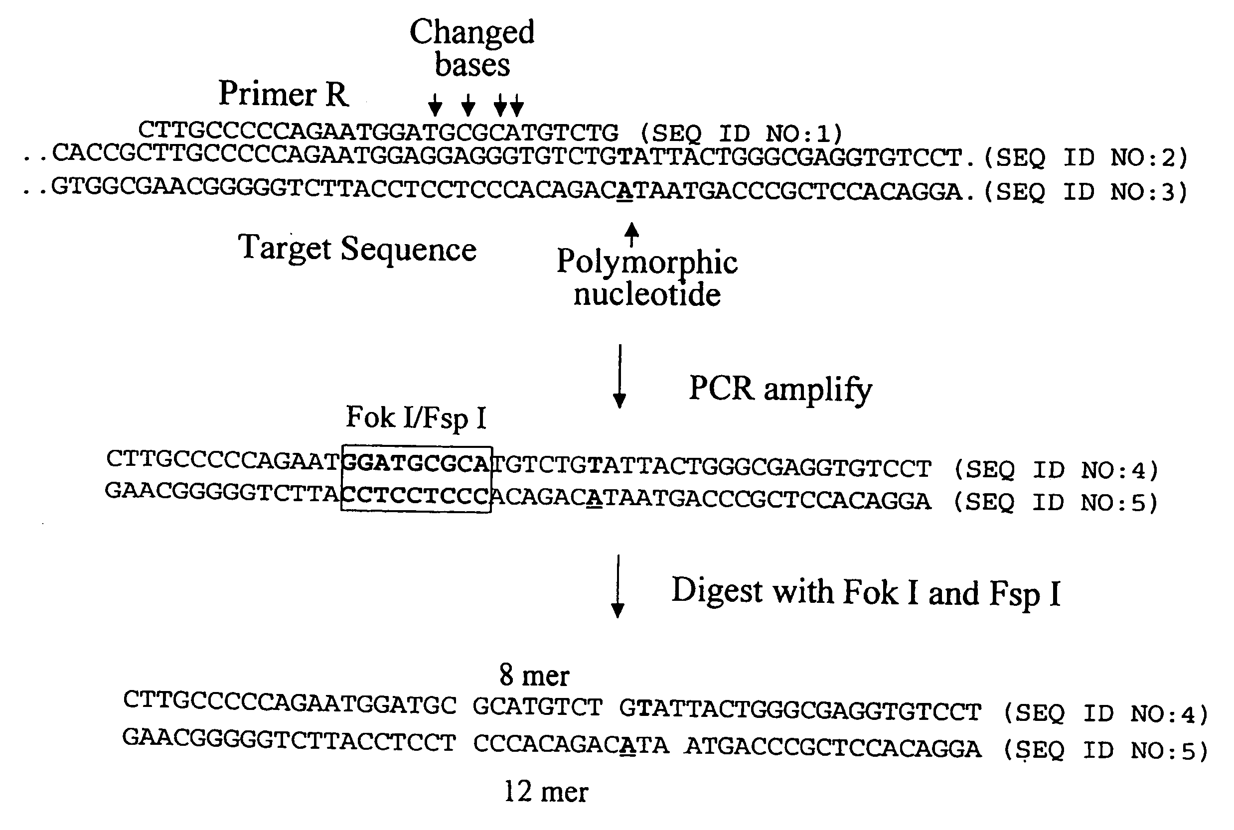 Methods for genetic analysis of DNA to detect sequence variances