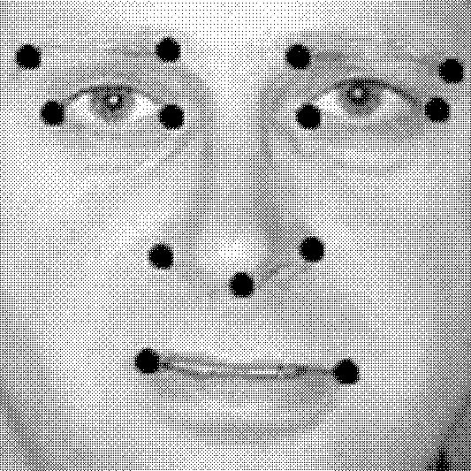 Face recognition method based on reference features