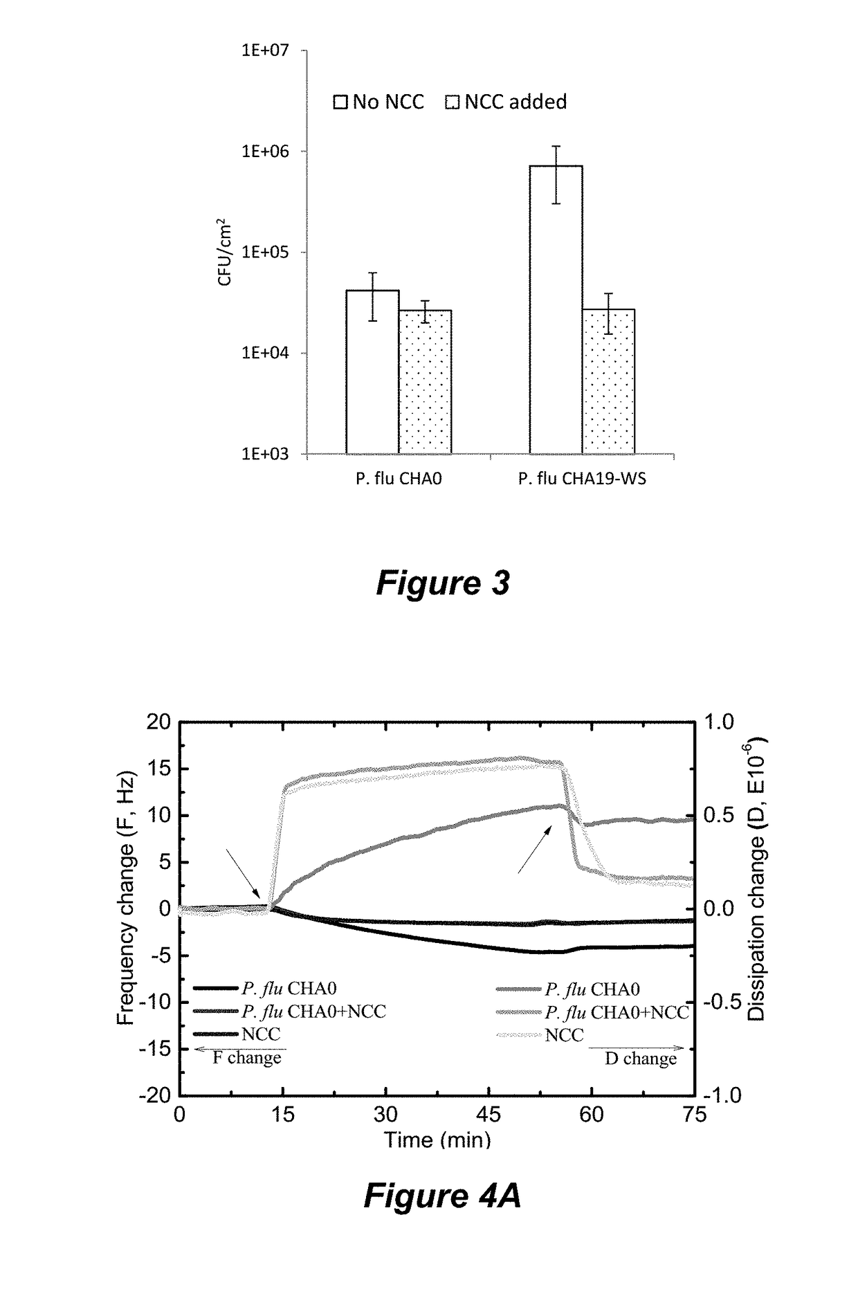 Nanocrystalline cellulose hydrogels for inhibition of bacterial adhesion