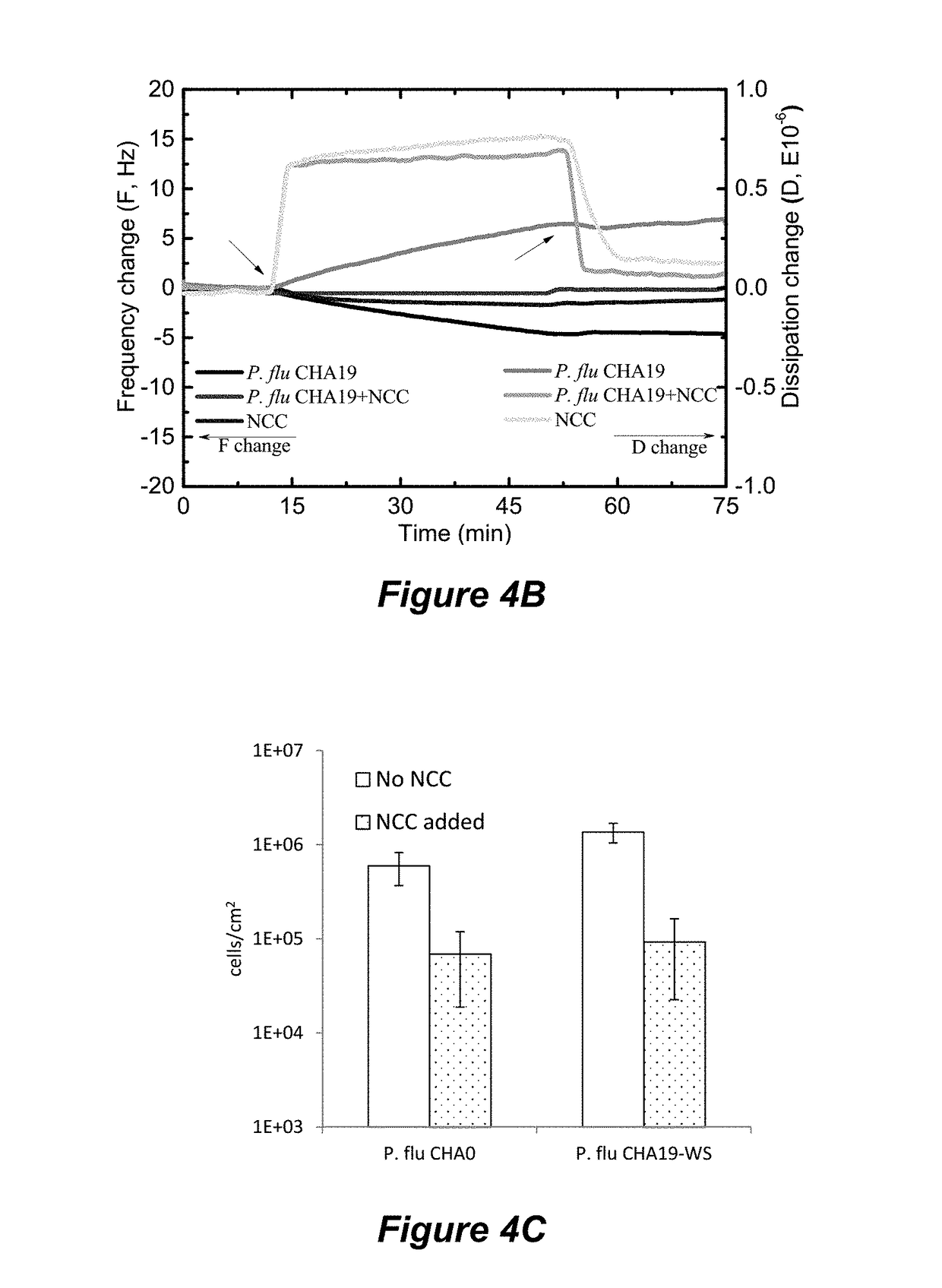 Nanocrystalline cellulose hydrogels for inhibition of bacterial adhesion