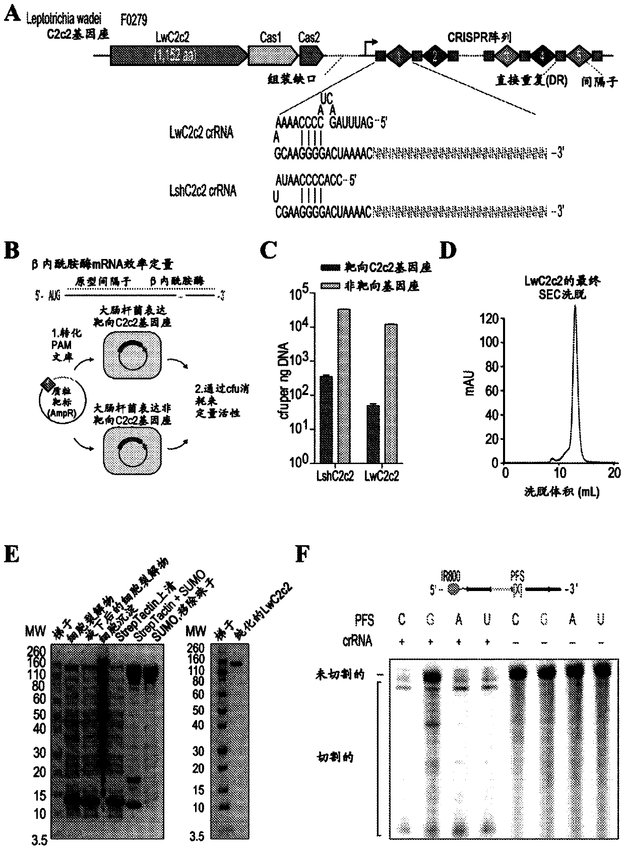 Crispr effector system based diagnostics