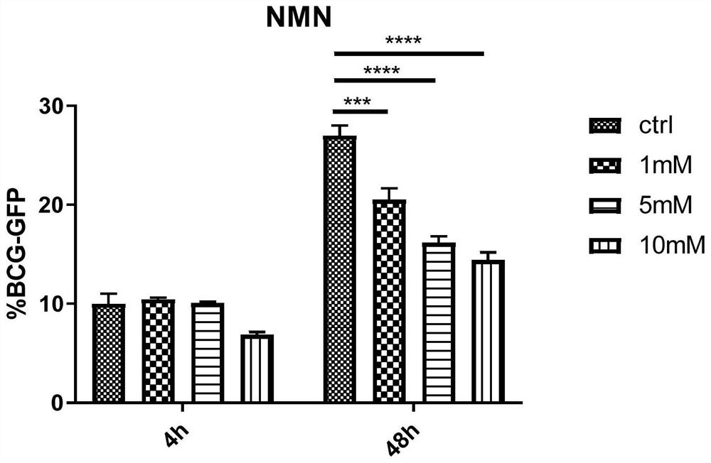 Application of compound with NMN and/or NADH structure and pharmaceutically acceptable salt of compound to preparation of mycobacterium tuberculosis inhibitor