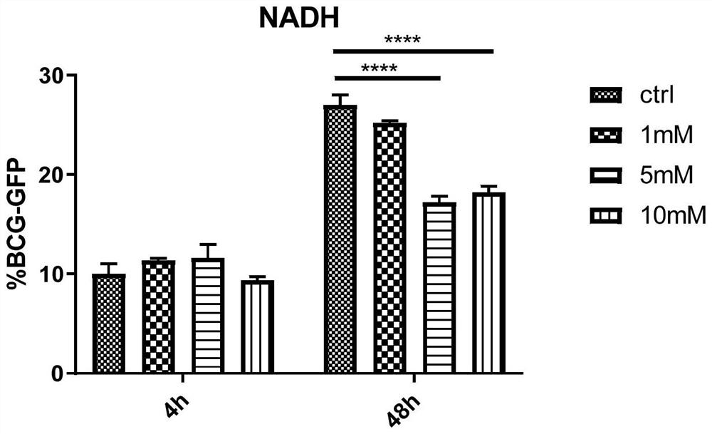 Application of compound with NMN and/or NADH structure and pharmaceutically acceptable salt of compound to preparation of mycobacterium tuberculosis inhibitor