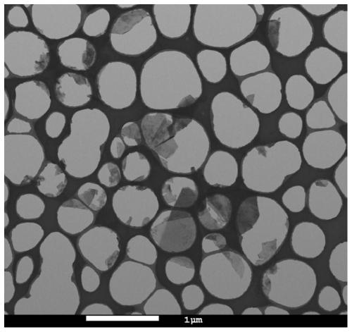 A method for preparing hexagonal boron nitride nanosheets