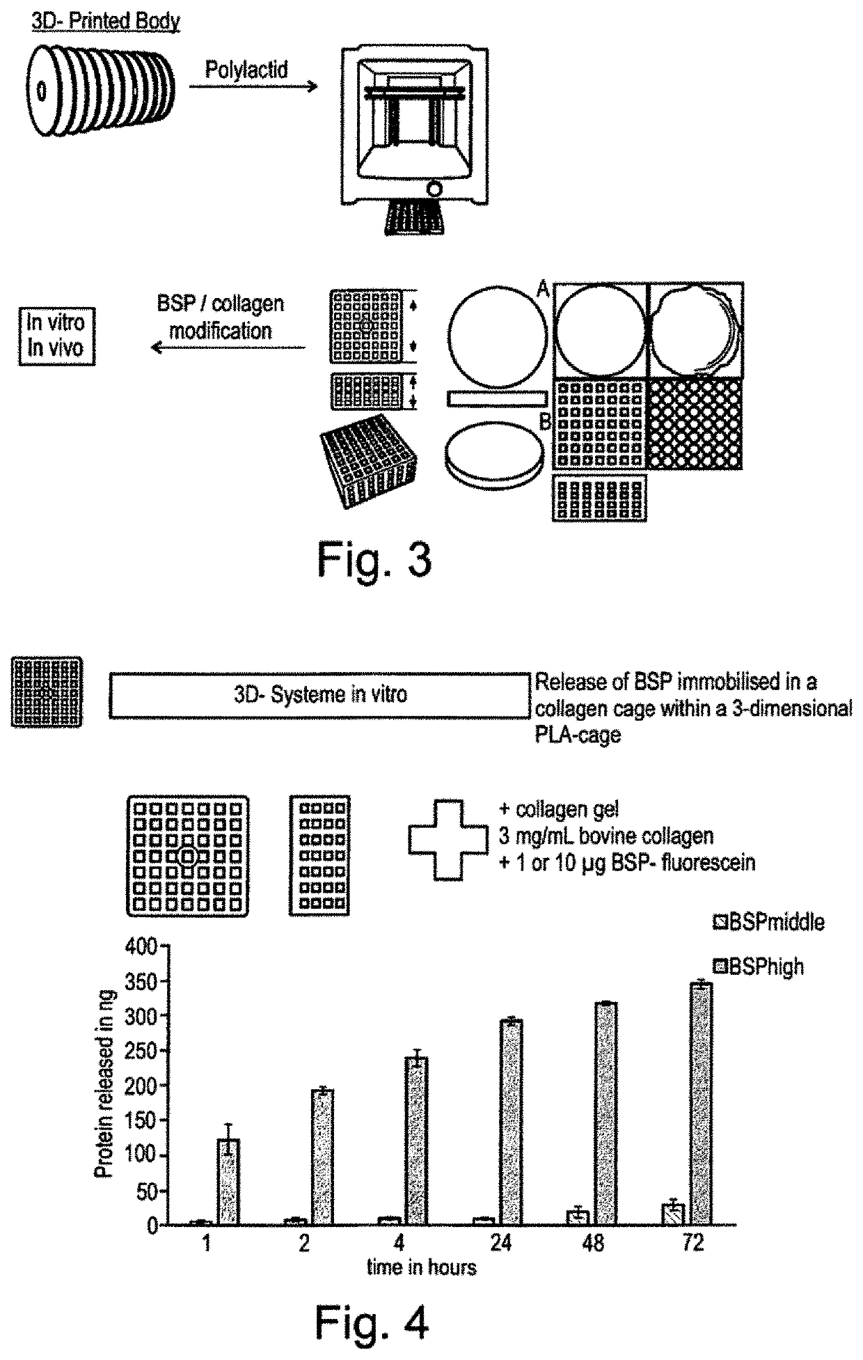 Bone sialoprotein functionalized materials for directed bone regeneration