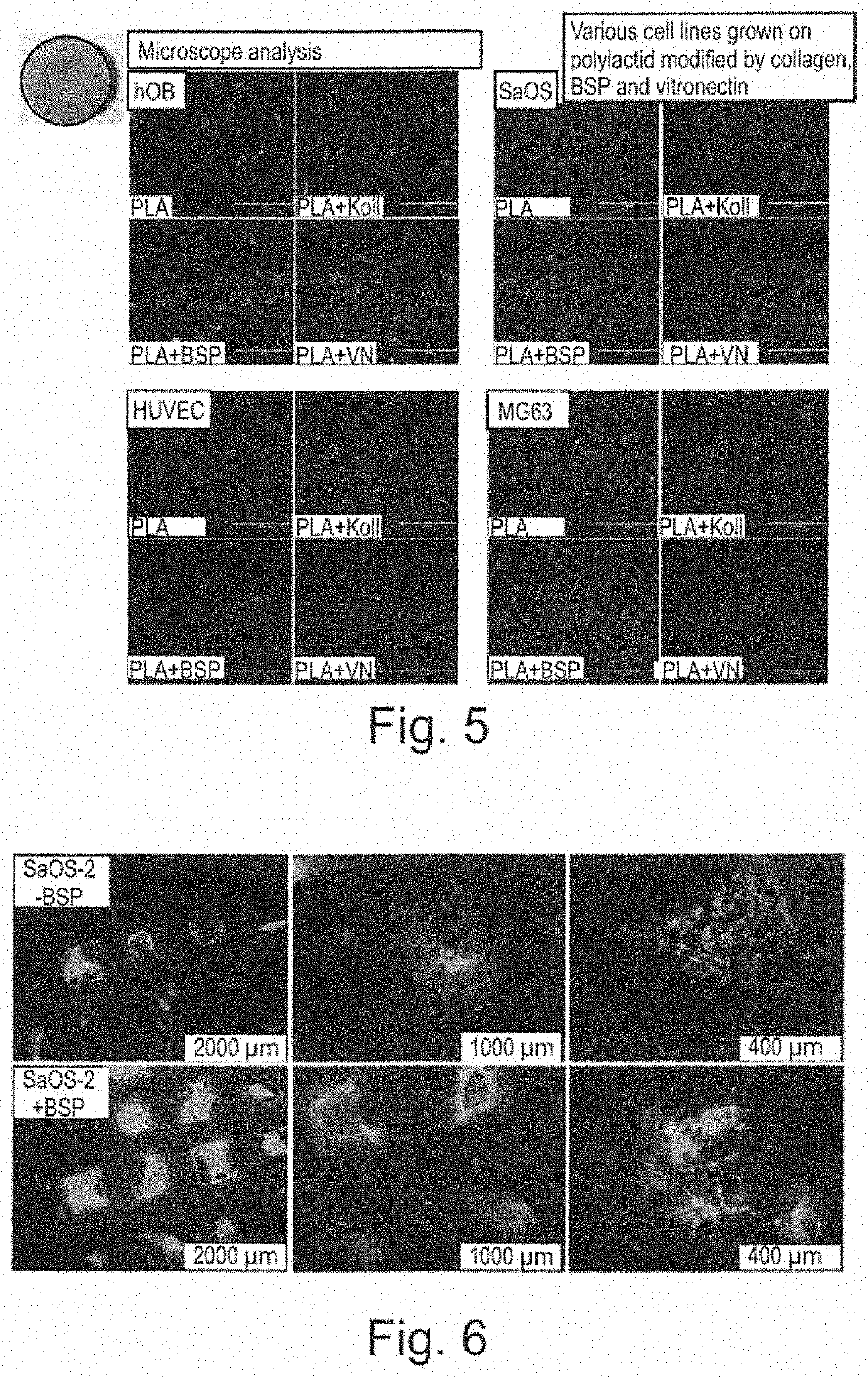 Bone sialoprotein functionalized materials for directed bone regeneration