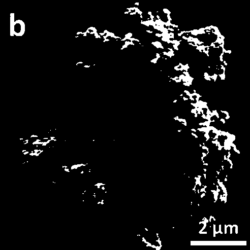 Catalyst for catalytic oxidation of formaldehyde at room temperature and preparation method thereof