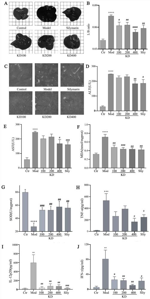 Application of glycoside compound in preparation of medicine for treating acute liver failure