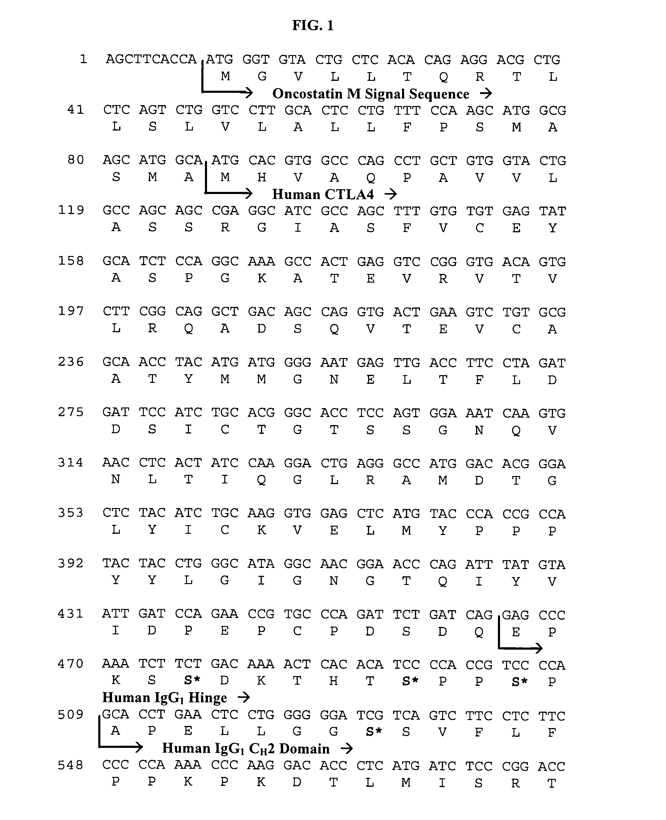 Method of preventing the development of rheumatoid arthritis in subjects with undifferentiated arthritis