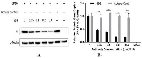 A kind of immunopotentiator and its application in vaccine preparation