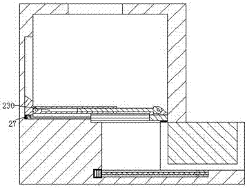 Novel dust remover