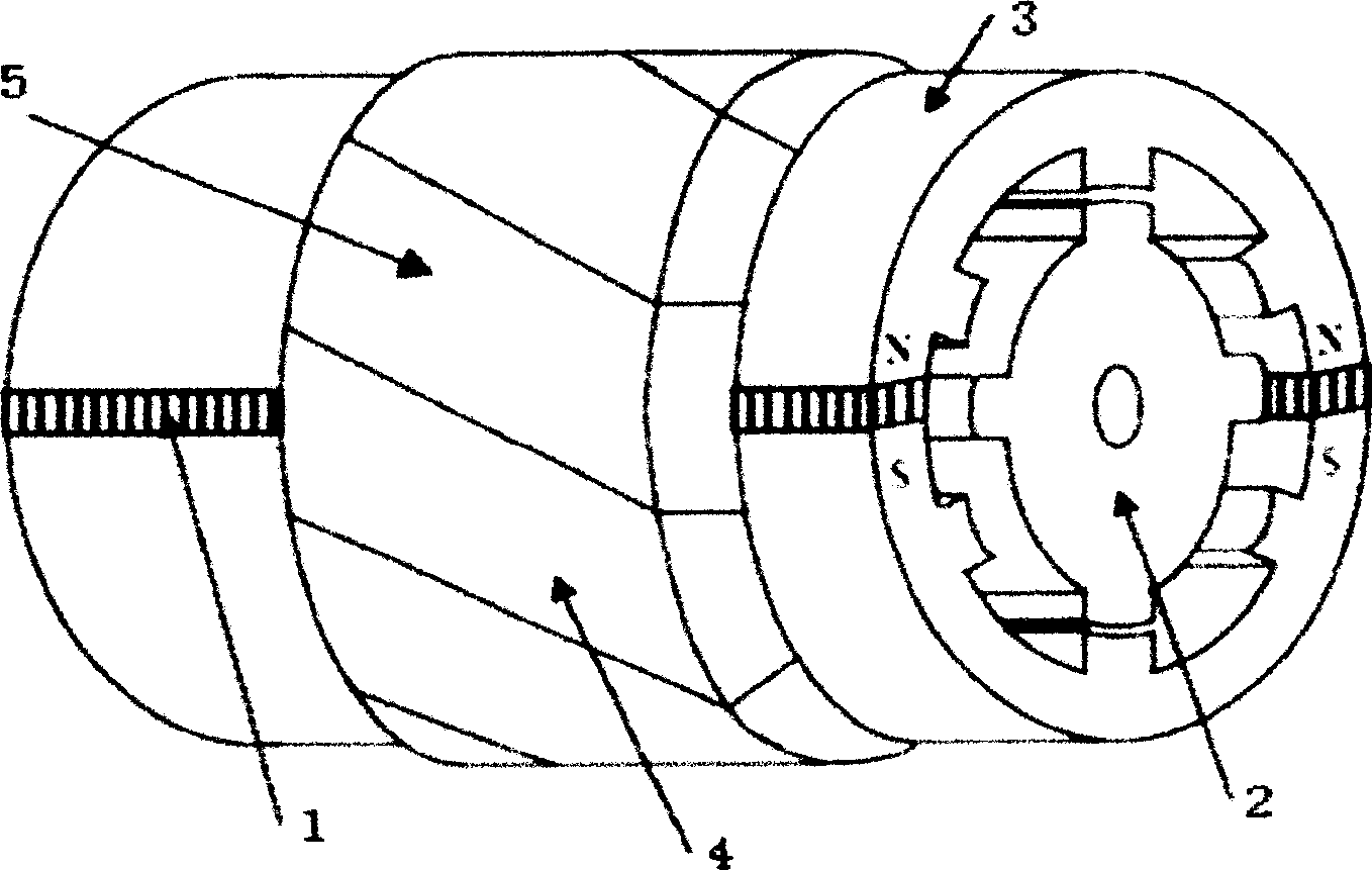 Wide governing, double salient pole, mixed excitation brushless dynamo and weak magnet control method thereof