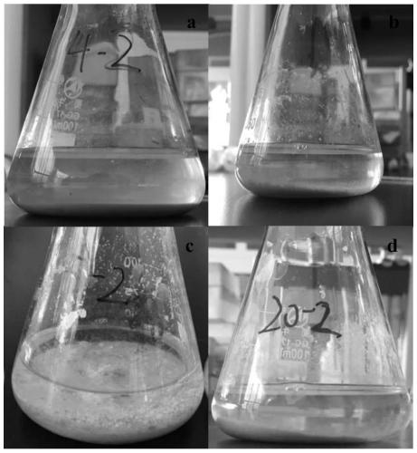 A method for quickly removing organic pollutants from coal gasification wastewater