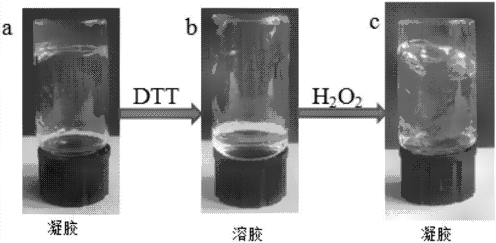 Polysaccharide hydrogel with double responses of pH and oxidation reduction as well as preparation method and application of polysaccharide hydrogel