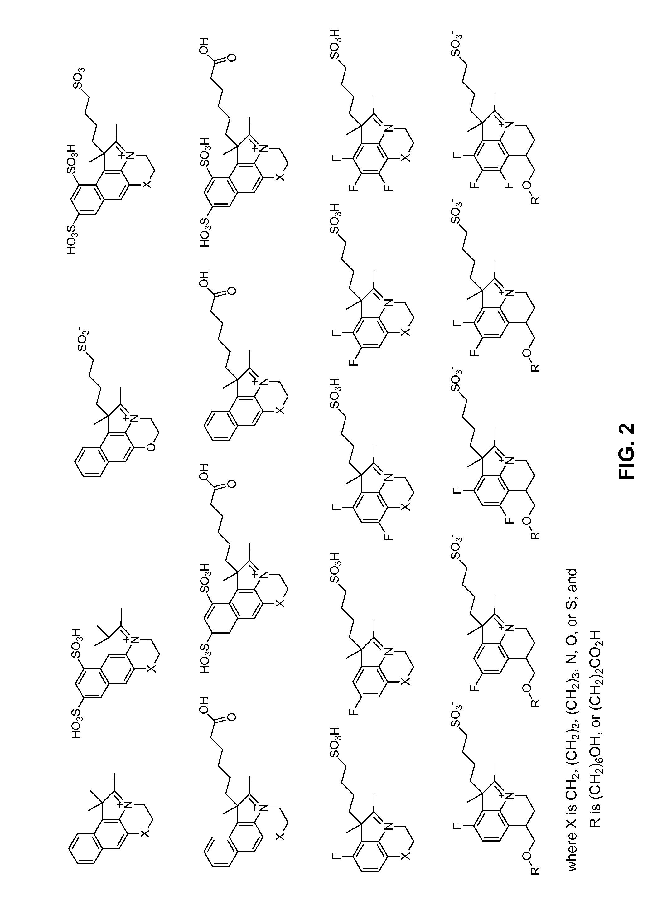 Reactive cyanine compounds