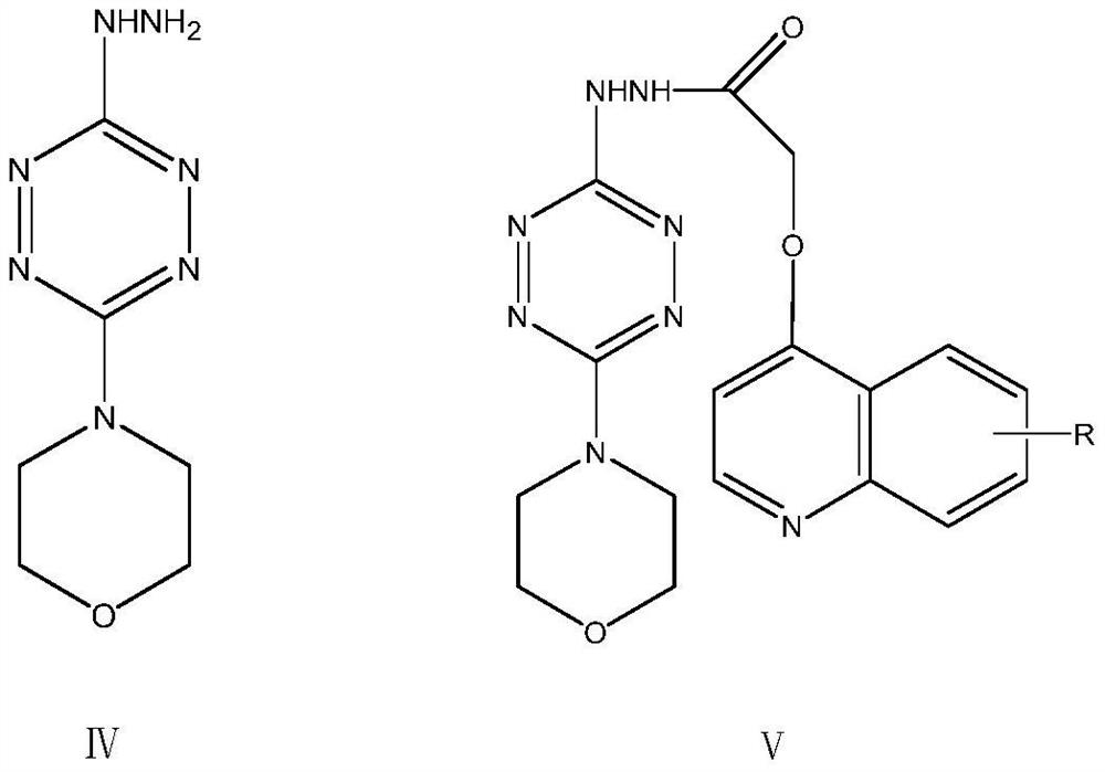 Triazolotetrazine compound containing morpholine and quinoline rings as well as preparation method and application thereof