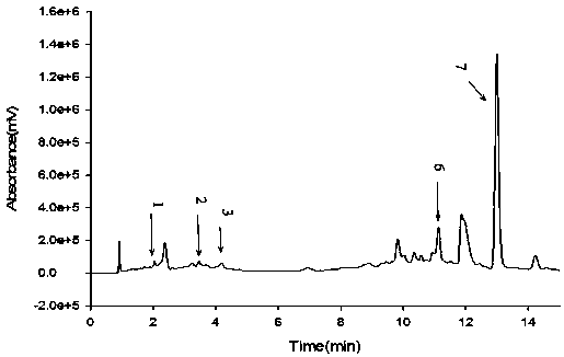 A fungus with strong herbicidal effect screened from passion fruit rhizosphere soil