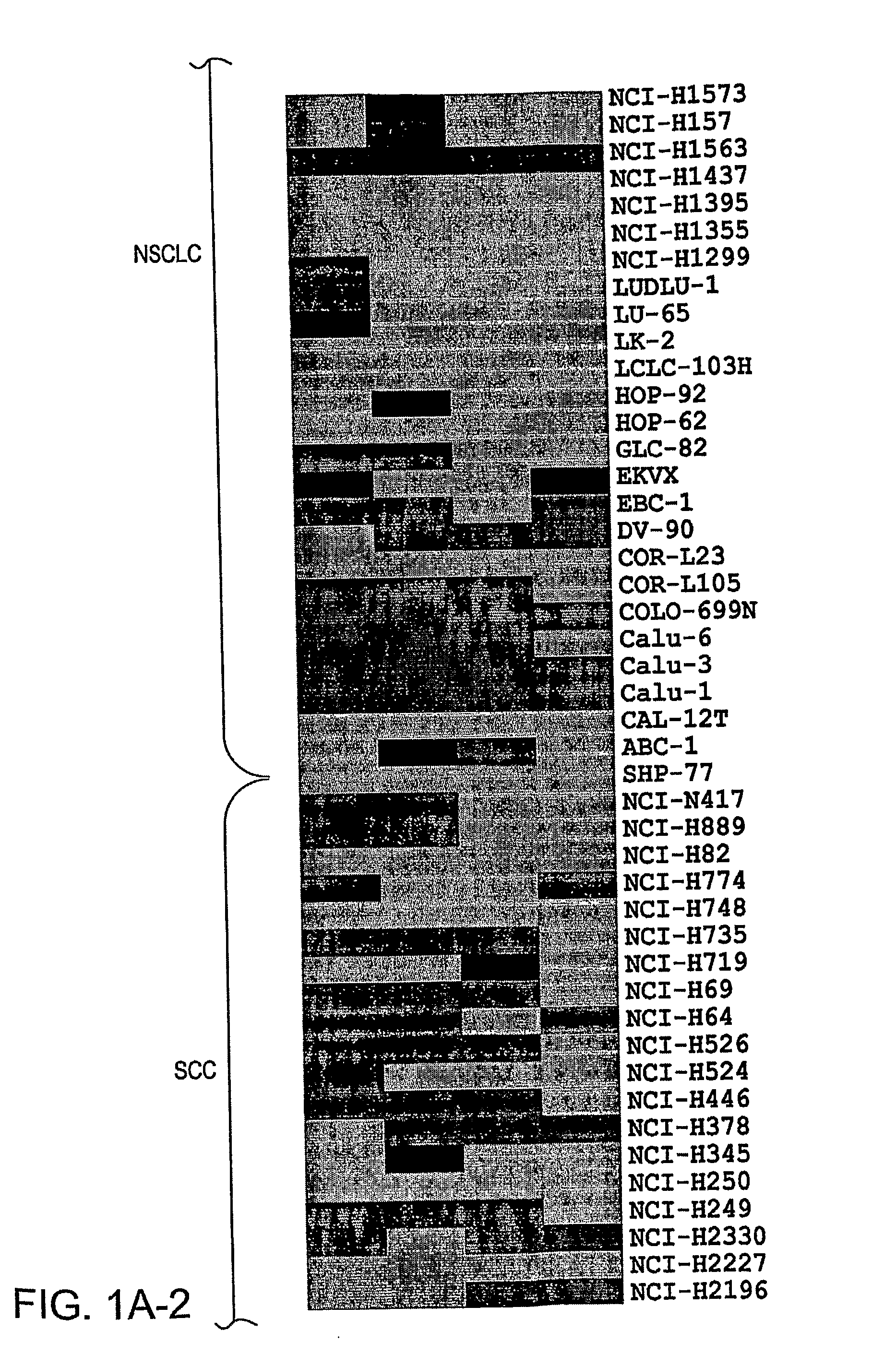 Compositions and methods for the treatment or prevention of chemoresistant neoplasia