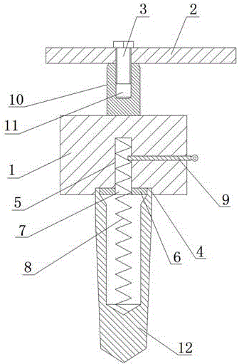 Clamp for protecting implant glaze