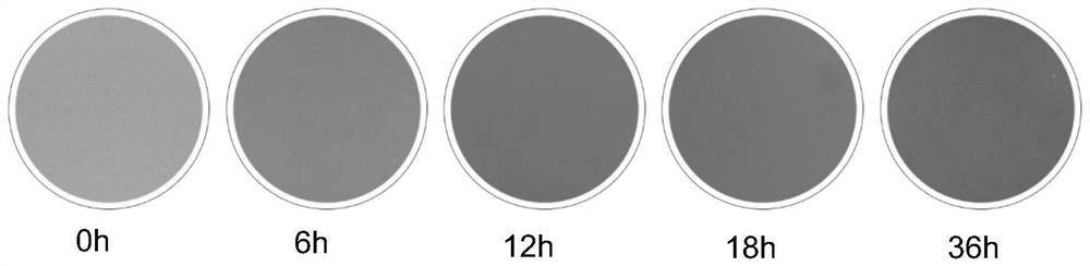 A lightly reduced graphene oxide nanofiltration membrane, preparation method and application thereof