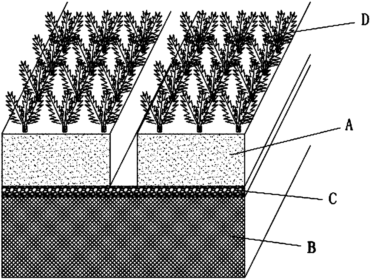 Treatment method for heavy metal pollution of soil