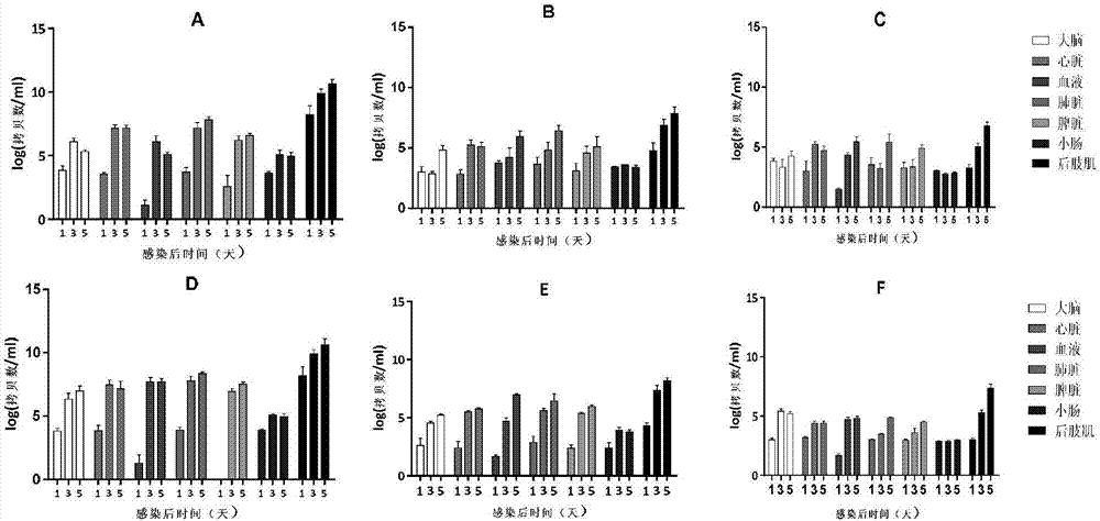 Coxsackie virus A6 strain (WF057R) and applications thereof