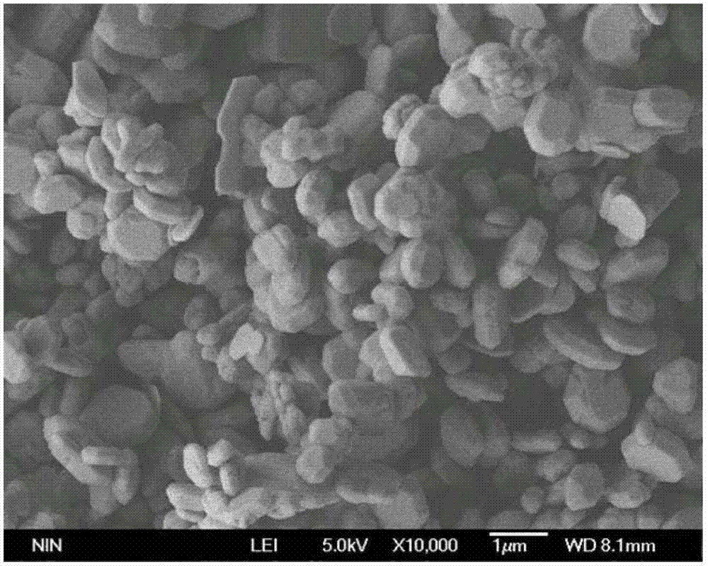 Preparation method of cake-piece-shaped N/BiVO4 photocatalyst growing along high-activity (040) crystal orientation