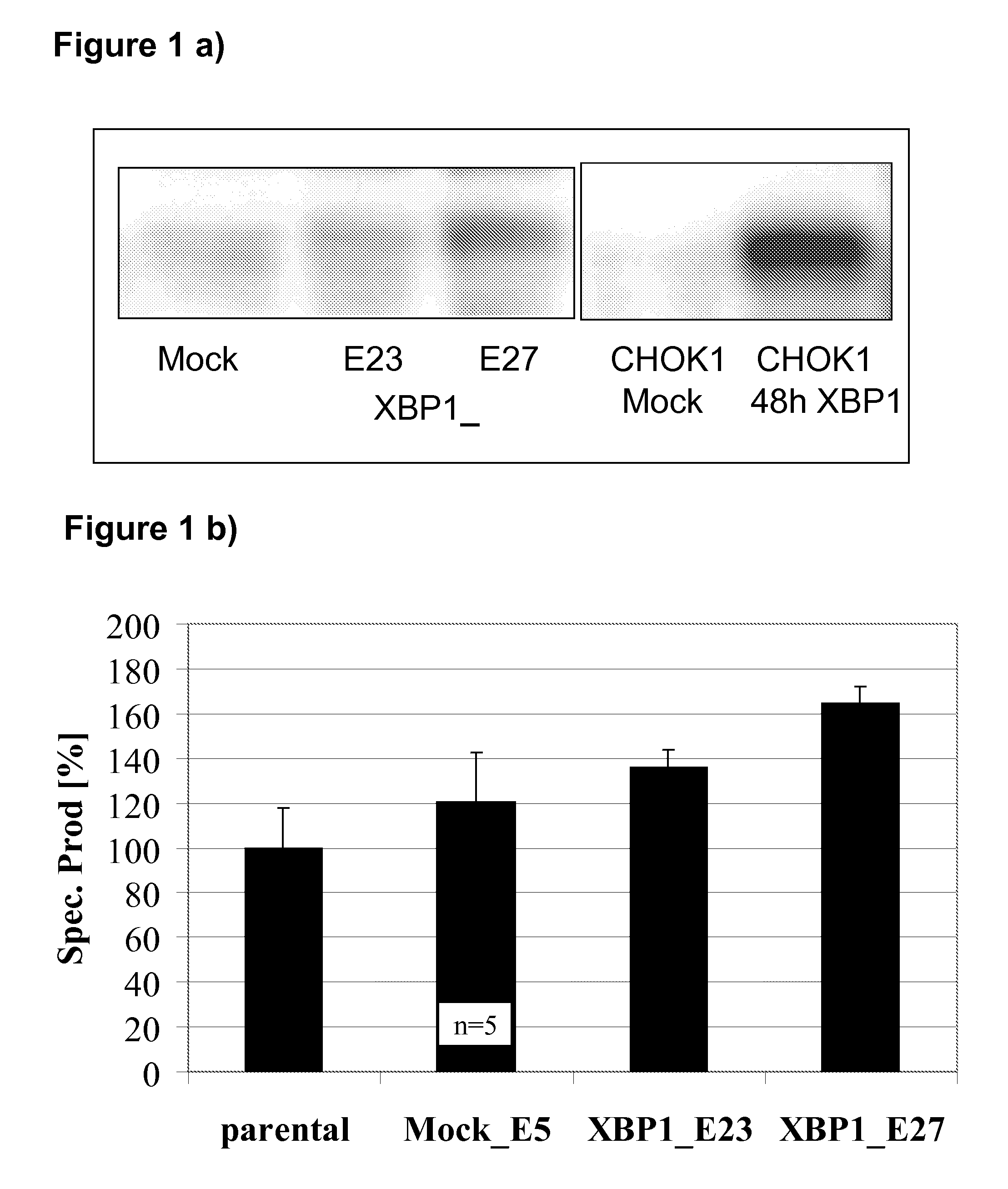 The secretory capacity in host cells