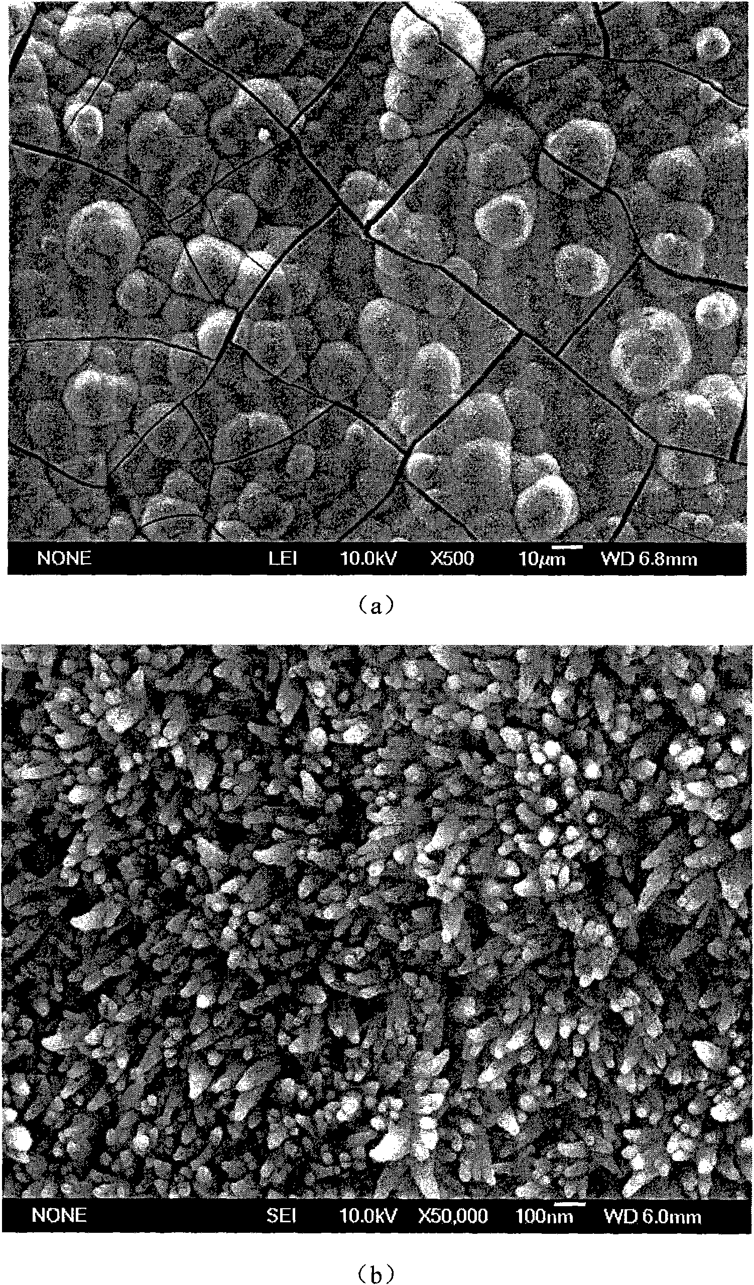 Method for preparing calcium fluoride coating on surface of titanium and alloy thereof and application thereof