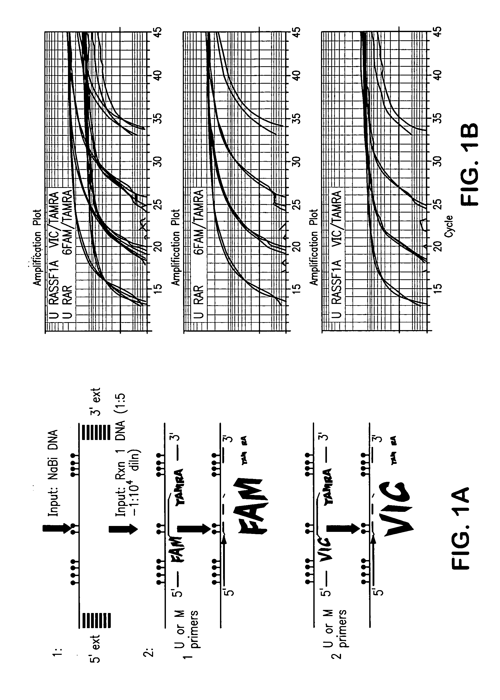 Quantitative multiplex methylation-specific PCR