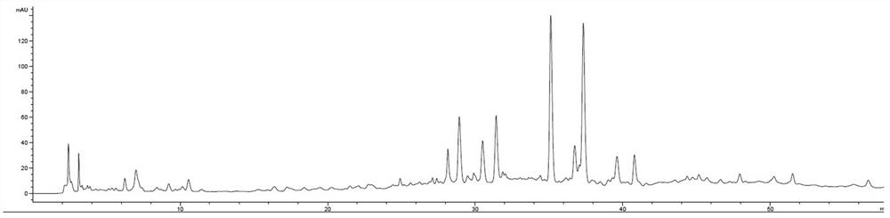 Establishment method and fingerprints of the medicinal material of Prunus chinensis