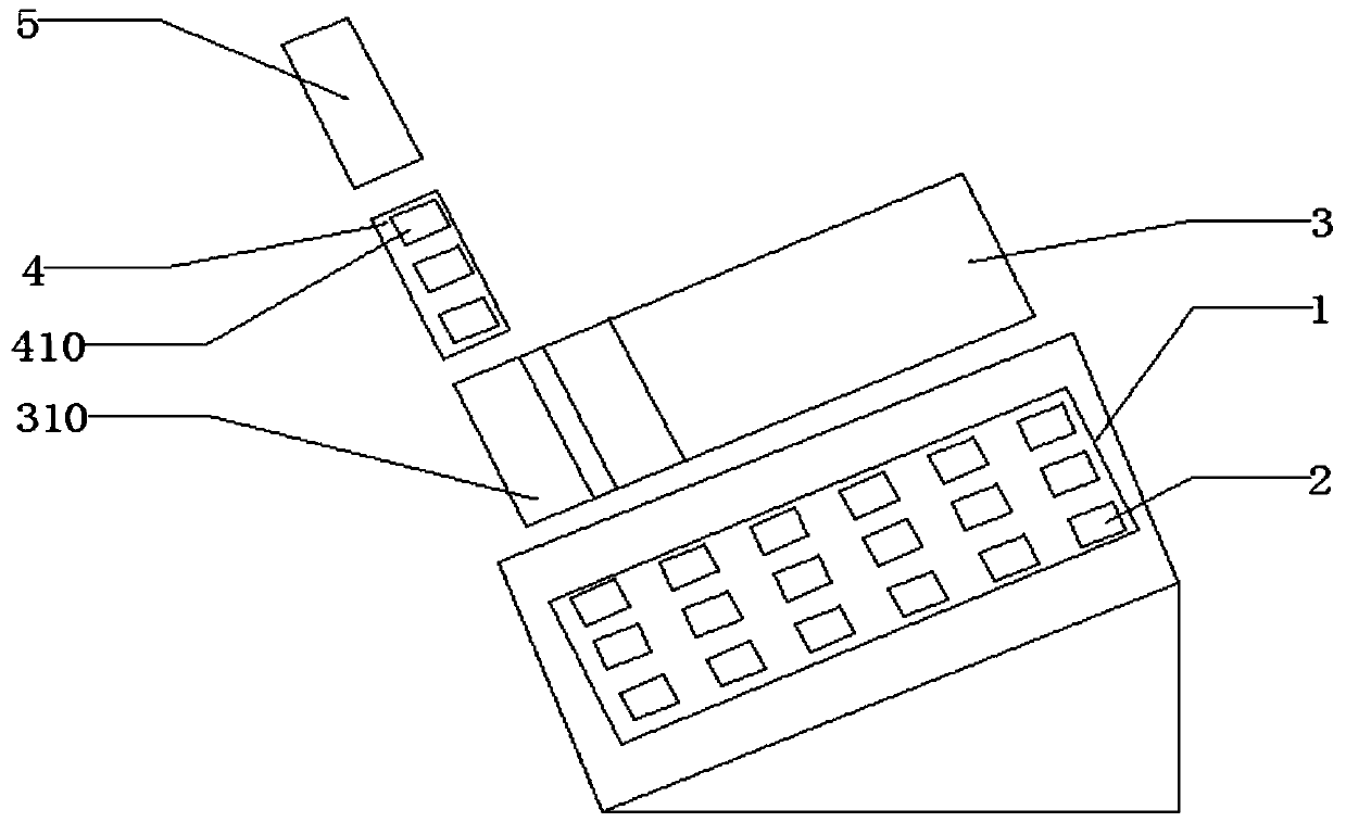 Cassia seed planting method