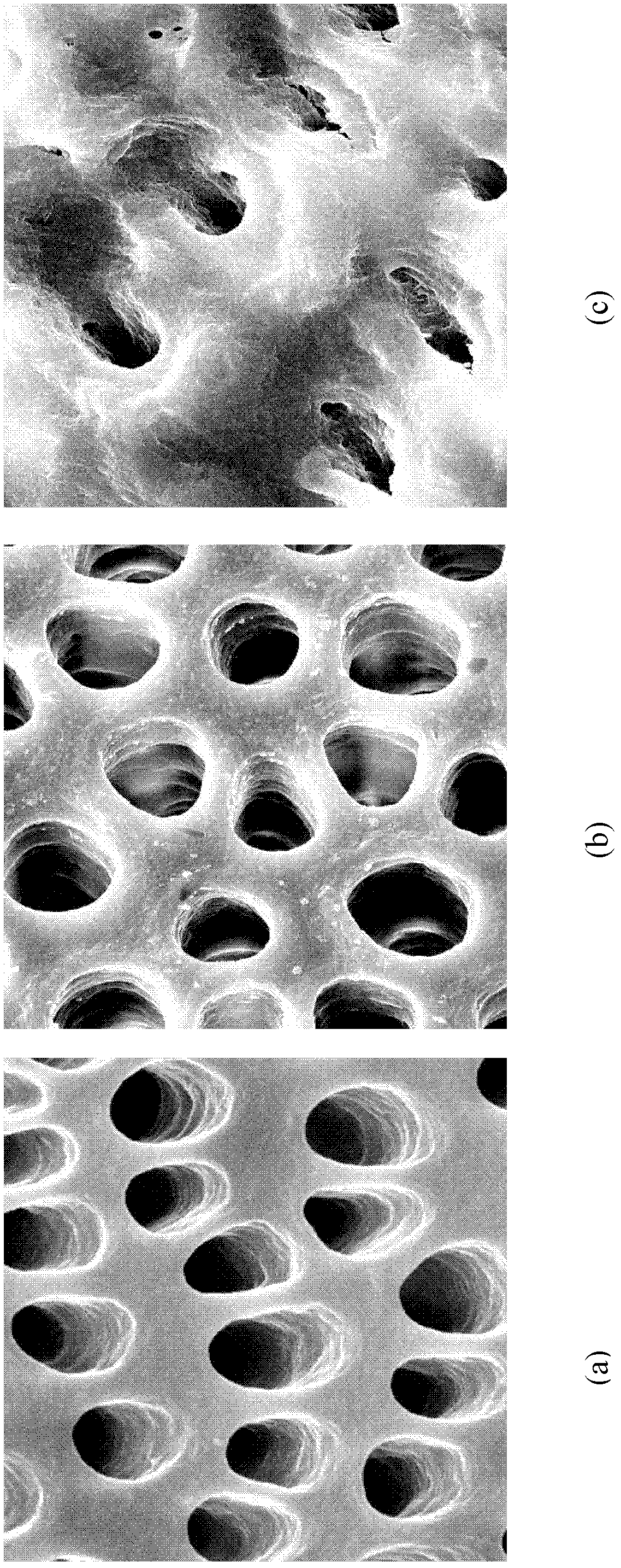 A kind of biomineralization material and its preparation method and application