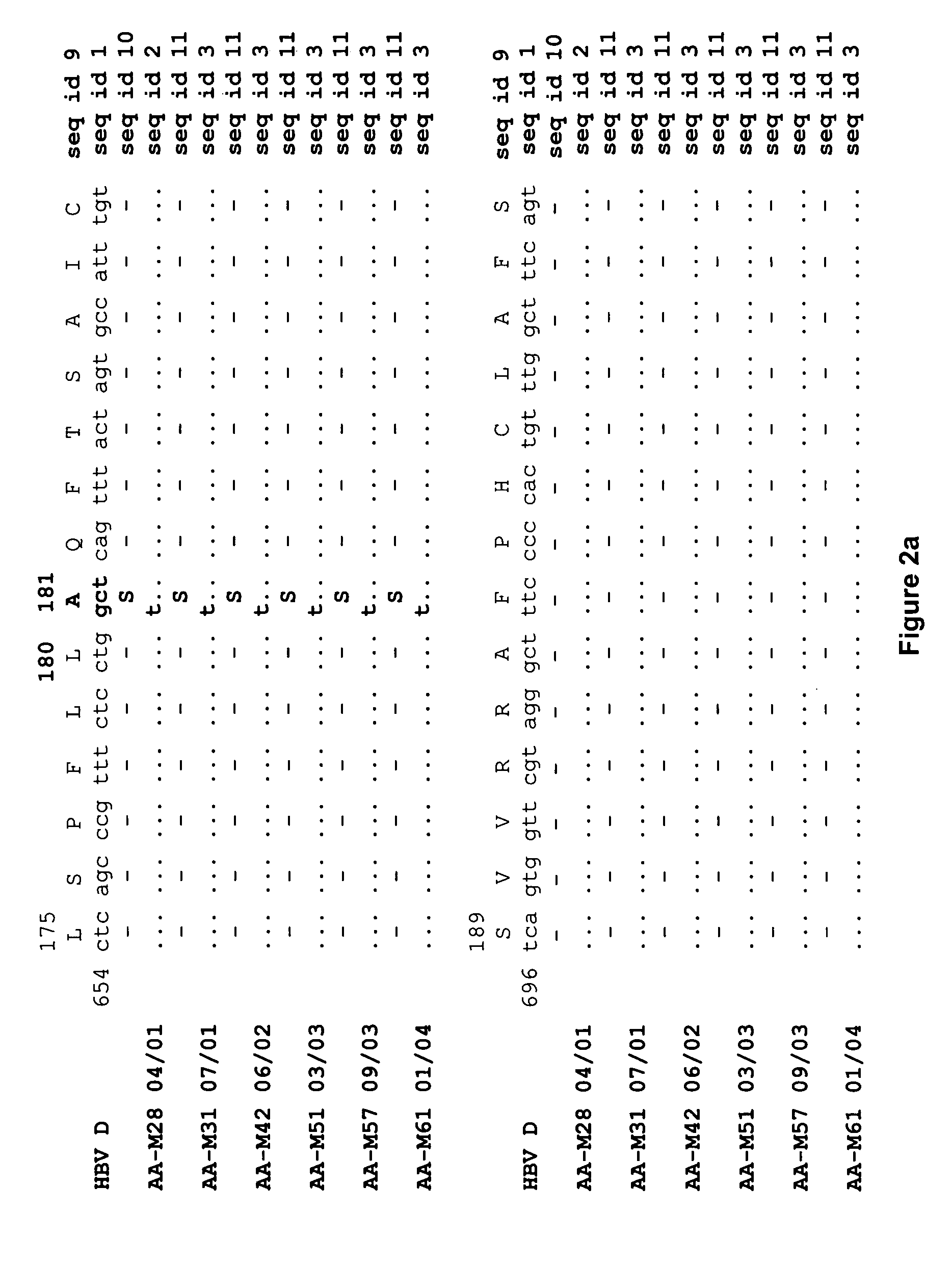 Hepatitis-B viral variants with reduced susceptibility to nucleoside analogs and uses thereof