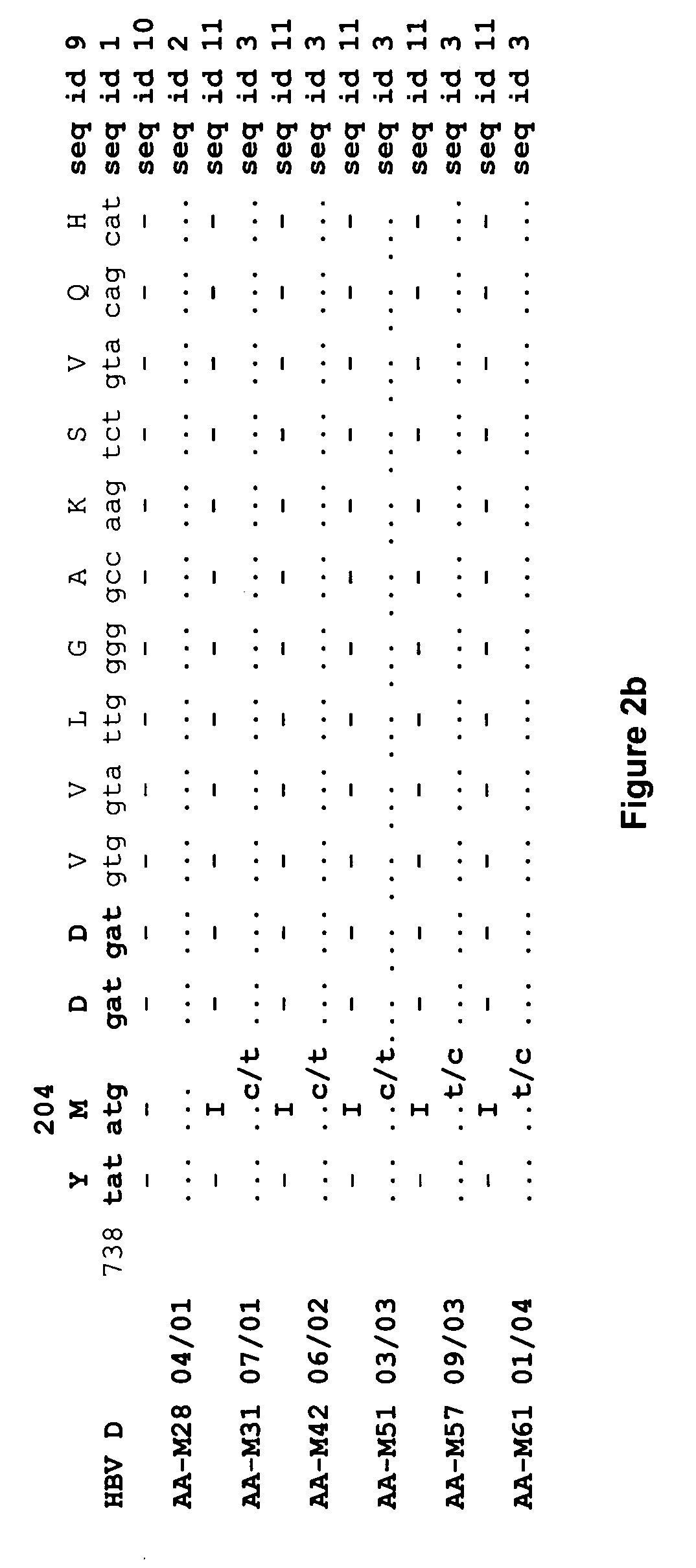 Hepatitis-B viral variants with reduced susceptibility to nucleoside analogs and uses thereof