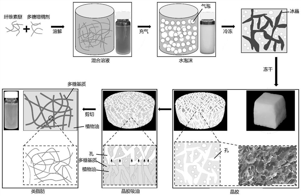 Method for preparing oil-carrying crystal gum and application thereof